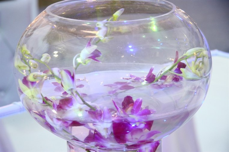Garden Show & Spring Festival
